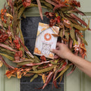 The Willowbrook Company - Fresh Scents | Welcome Fall Sachets | Pumpkin, Apple Spice