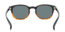 Hobie Polarized Sunglasses – Shiny Black Wood Grain / Grey Lens
