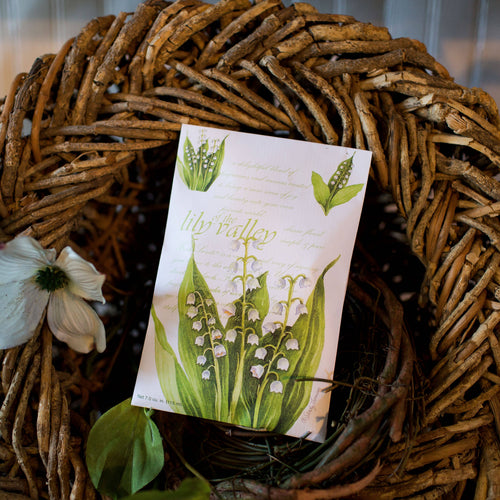 The Willowbrook Company - Fresh Scents Lily of the Valley Sachets