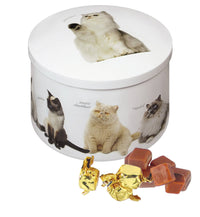Gardiners Handmade Confectionery - Cat Tin - Vanilla Fudge