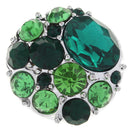 Green Crystal Hues Sandy Snap Interchangeable Charm