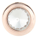 Single Solid Stone Set In Rose Gold Sandy Snap Interchangeable Charm